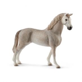 CAPON HOLSTEINER (CABALLO)